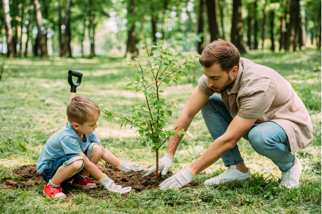 father and son planting a tree